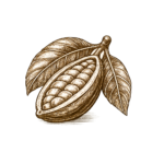 Cacao